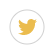 blog twitter icon